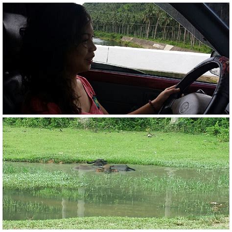 Habang bata pa sa damuhan mag habulan. mag tampisaw sa .